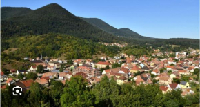 Appartement Sainte-Marie-Aux-Mines